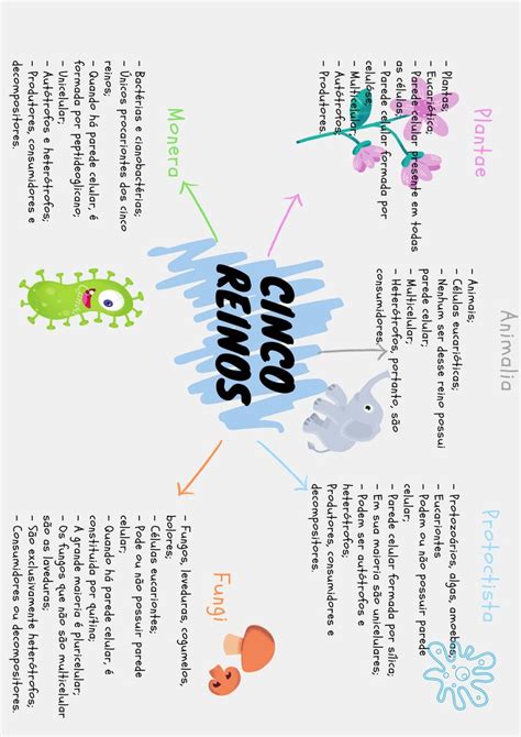 Mapa Mental Os Reinos Reinos Fa A Um Mapa Seres Procariontes