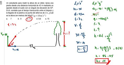 Un estudiante para medir la altura de un árbol lanza una piedra desde