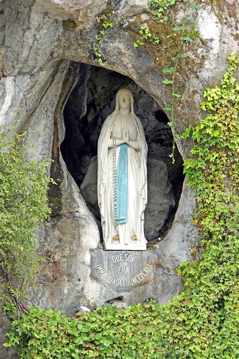 Feast Of Our Lady Of Lourdes Ecclesia Militans