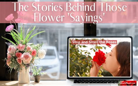 The Stories Behind Those Flower 'Sayings' - Eden Florist - South Florida Flowers for Any Occasion