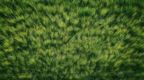 Green Grass Top View Background Texture Home Garden Lawn Sports