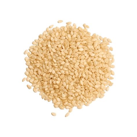 Jual Biji Wijen Putih Premium Sesame Seeds Gr Shopee Indonesia