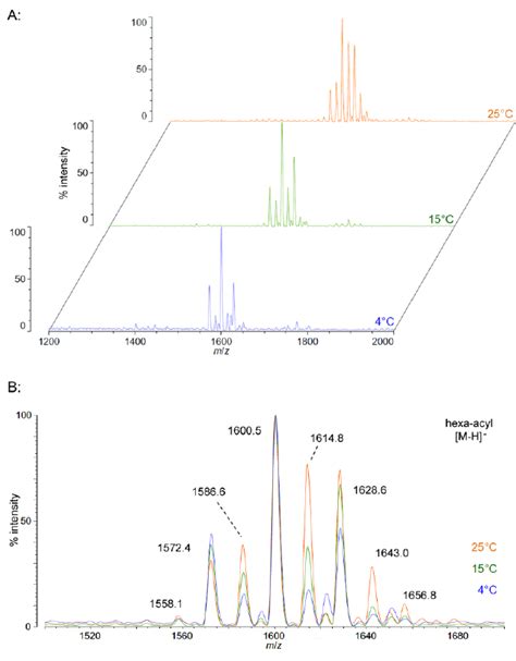 Negative Ion Maldi Tof Ms Of P Cryohalolentis Lipid A At C C