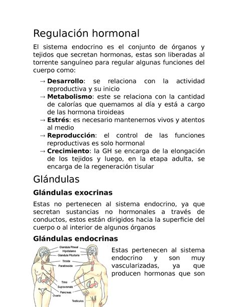 Regulaci N Hormonal Regulaci N Hormonal El Sistema Endocrino Es El