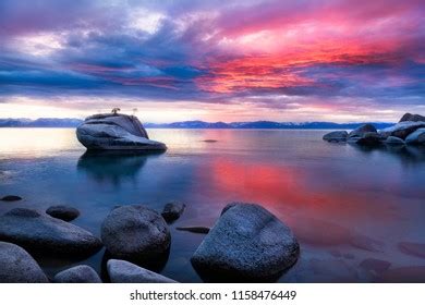 Bonsai Rock Sunset Lake Tahoe Ca Stock Photo 1158476449 | Shutterstock