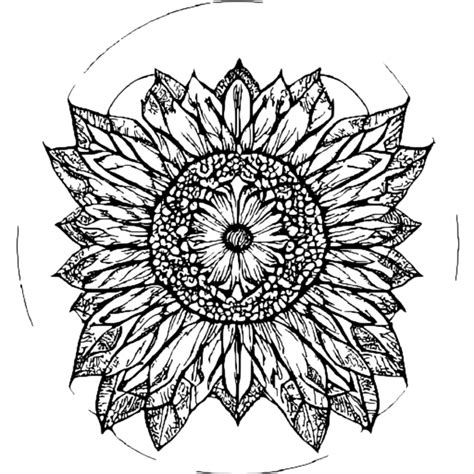 Coloring Pages Page 22 Of 1756 Creative Fabrica