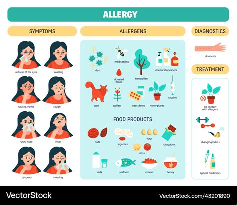 Allergy Colored Infographic Royalty Free Vector Image