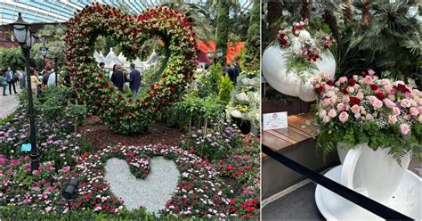 Romance Themed Floral Display At Gardens By The Bay S Flower Dome Till