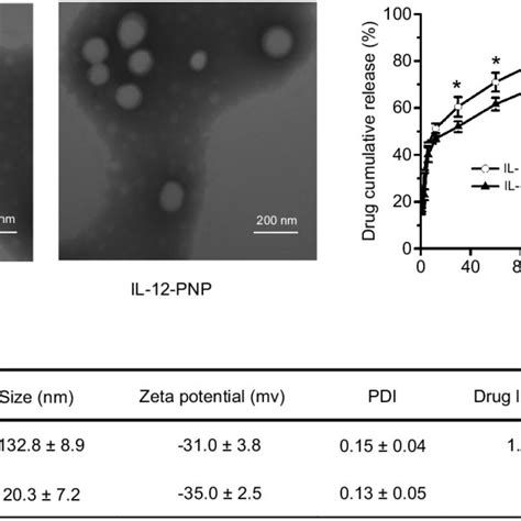 Nanoparticle Characterization A Morphology Of The Nanoparticles Was