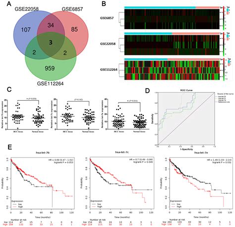 Aging Identification Of Mirnas As Diagnostic And Prognostic Markers