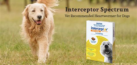 Interceptor Spectrum Wormer For Dogs | VetSupply