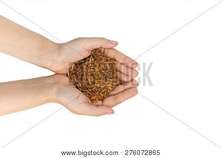 Catuaba Bark Tea Woman Image Photo Free Trial Bigstock