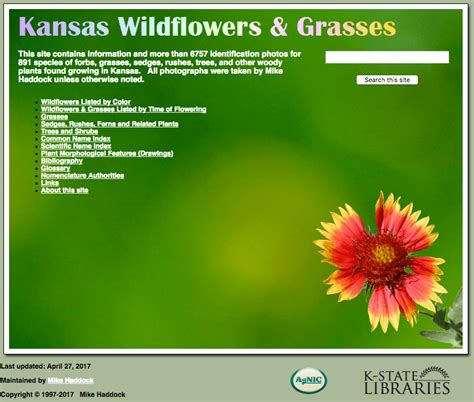 Guides For Identifying Pasture Grasses On Pasture