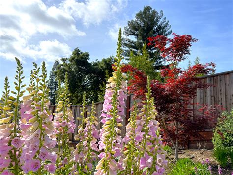 News You Can Use and Market Reports May, 2023 - Laura Richards & Kent Byers