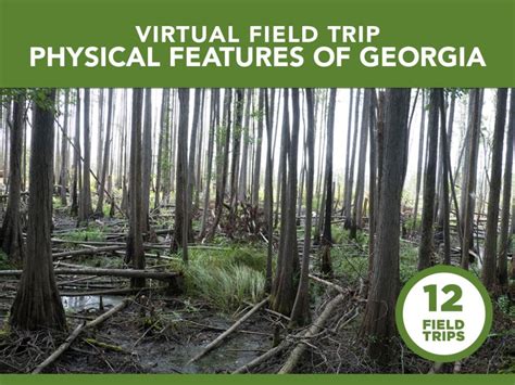 Physical Features Of Georgia Virtual Field Trip Pbs Learningmedia