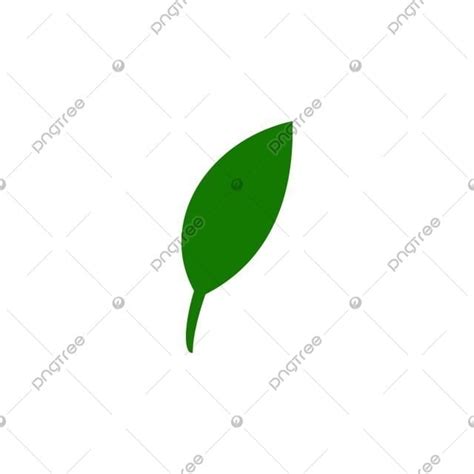 Green Leaves Isolated Vector Hd Images Leaf Icons Vector Design Leaves