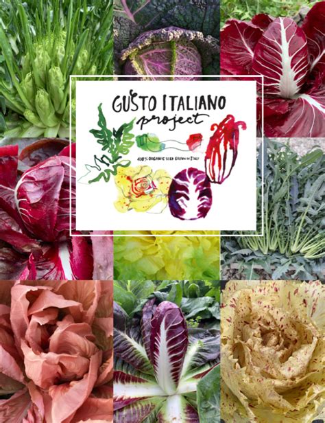 Gusto Italiano Project Uprising Seeds