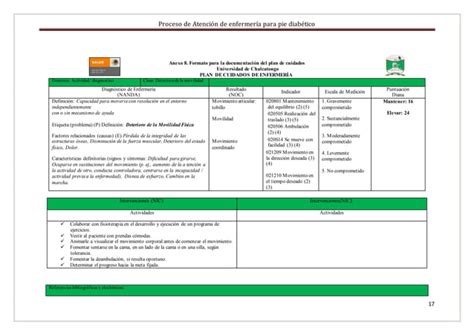 Proceso Enfermero De Diabetes Mellitus Pdf Descarga Gratuita