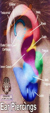 Ear Piercing Diagram