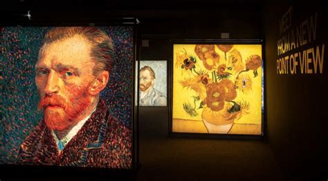 Van Gogh Experience La Mostra Immersiva Al Next Museum Roma