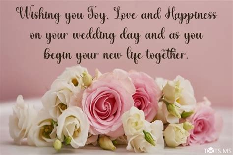 Best Wishes On Your Wedding Day Quotes