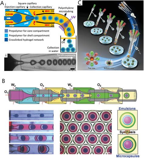 Advanced Microfluidic Devices For Fabricating Multistructural Hydrogel