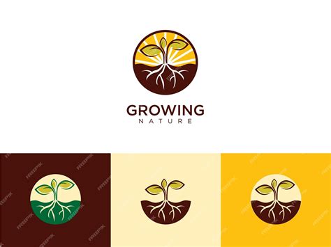 Plantilla De Concepto De Logotipo De Semillas De Plantas Ilustración De