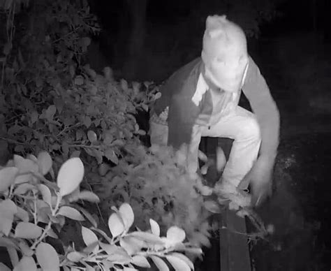 Uncovering Crime Trends in Spokane: A Closer Look at Local Statistics