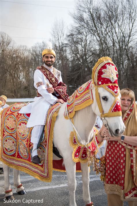 Indian Groom With White Baraat Horse Photo 192860