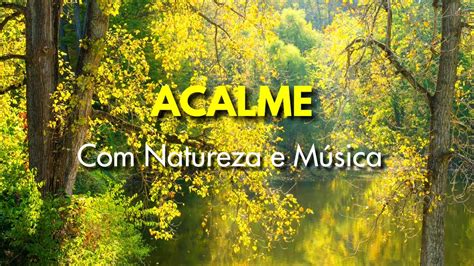 Acalme Sua Mente Em Minutos Natureza E M Sica Relaxante Youtube