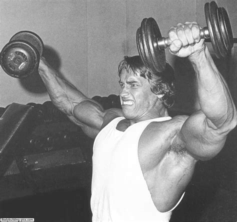 Hombros Arnold Schwarzenegger Muscle Arnold Schwarzenegger Arnold