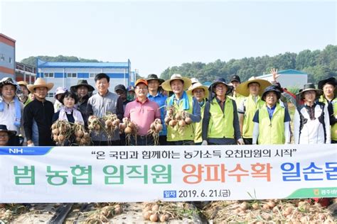 광주비아농협 고령농가 양파수확 일손돕기 실시 뉴스웨이