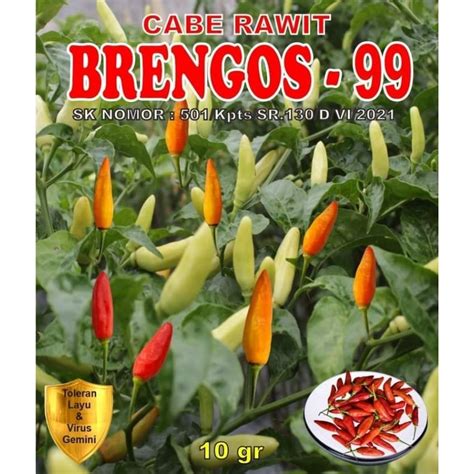 Jual BRENGGOS 99 Benih Cabe Rawit Tahan Virus 10 Grm Cabai Rawit