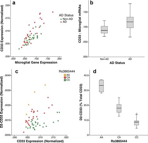 Cd33 Alzheimers Risk Altering Polymorphism Cd33 Expression And Exon