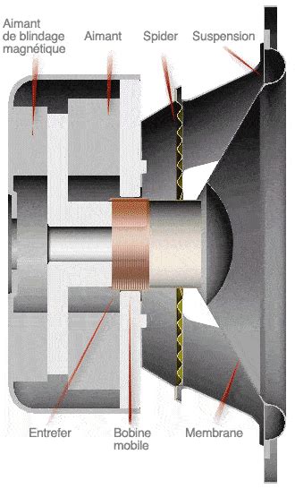 Caissons De Basses Diff Rentes Technologies Clos Bass Reflex