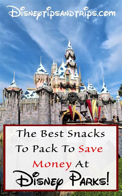 Easiest Snacks And Meals To Bring Into Disney Theme Parks Artofit