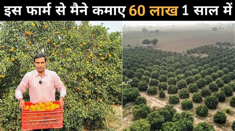 कनन क खत न बदल द इस कसन क कसमत Kinnow Fruit Kinnow