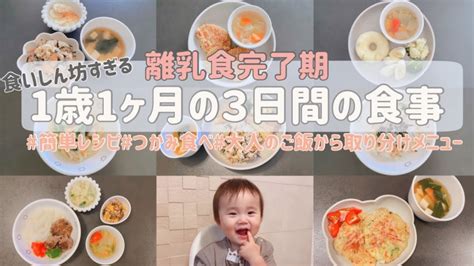 【離乳食完了期】1歳児の3日間の食事メニュー🍽 だしパックつかみ食べ簡単レシピ Youtube