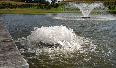 Pond Aerators The Benefits Of Lake And Pond Aeration