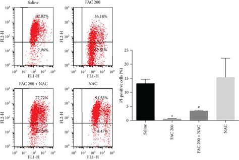 Ros Are Required For Iron Overload Induced Mptp Opening In Osteoblastic Download Scientific