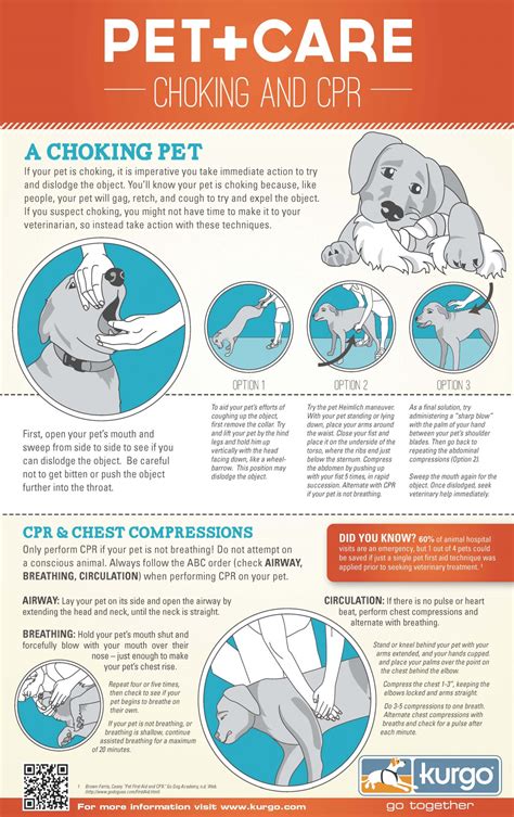 CPR for Dogs: A Step-by-Step Guide to Saving Your Dog’s Life | Pitties