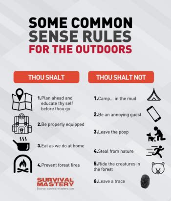 Wilderness Survival Tips And Tricks On How To Stay Safe And Alive