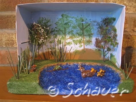 Thinking Inside The Box A Duck Habitat Diorama Carla Schauer Designs