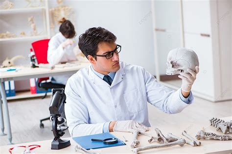 Fondo Profesor Estudiando Esqueleto Humano En Laboratorio Foto E Imagen