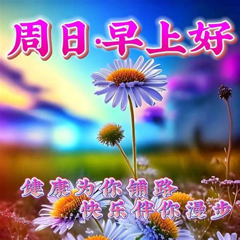 8月27日周日早上好，唯美祝福语图片大全 知乎