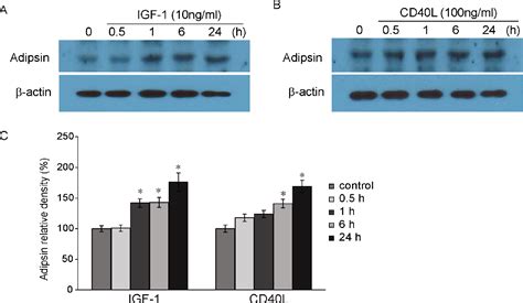 Figure From The Role Of Adipsin Complement Factor D In The