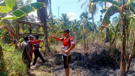 Lahan Seluas Meter Persegi Di Jeruklegi Terbakar Akibat Puntung Rokok