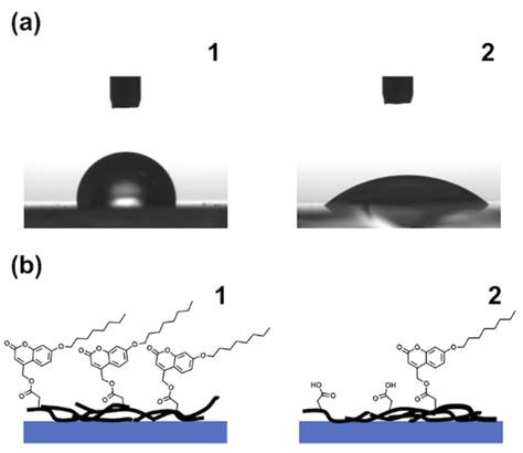 Nanomaterials Free Full Text Noncovalent Functionalization Of