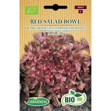 Germisem Bio Graines Laitue Couper Feuilles De Ch Ne Rouge Red Salad