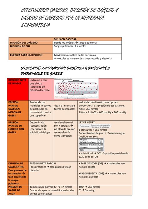 SOLUTION Resumen De Fisiolog A De Guyton Sobre Intercambio Gaseoso